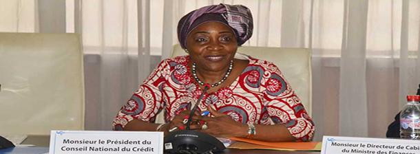 Comité National Economique et Financier